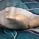 Pościel satyna bawełniana 12411 SATYNLOVE PREMIUM